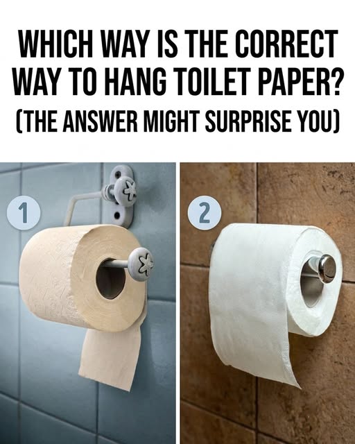 Two numbered toilet paper rolls