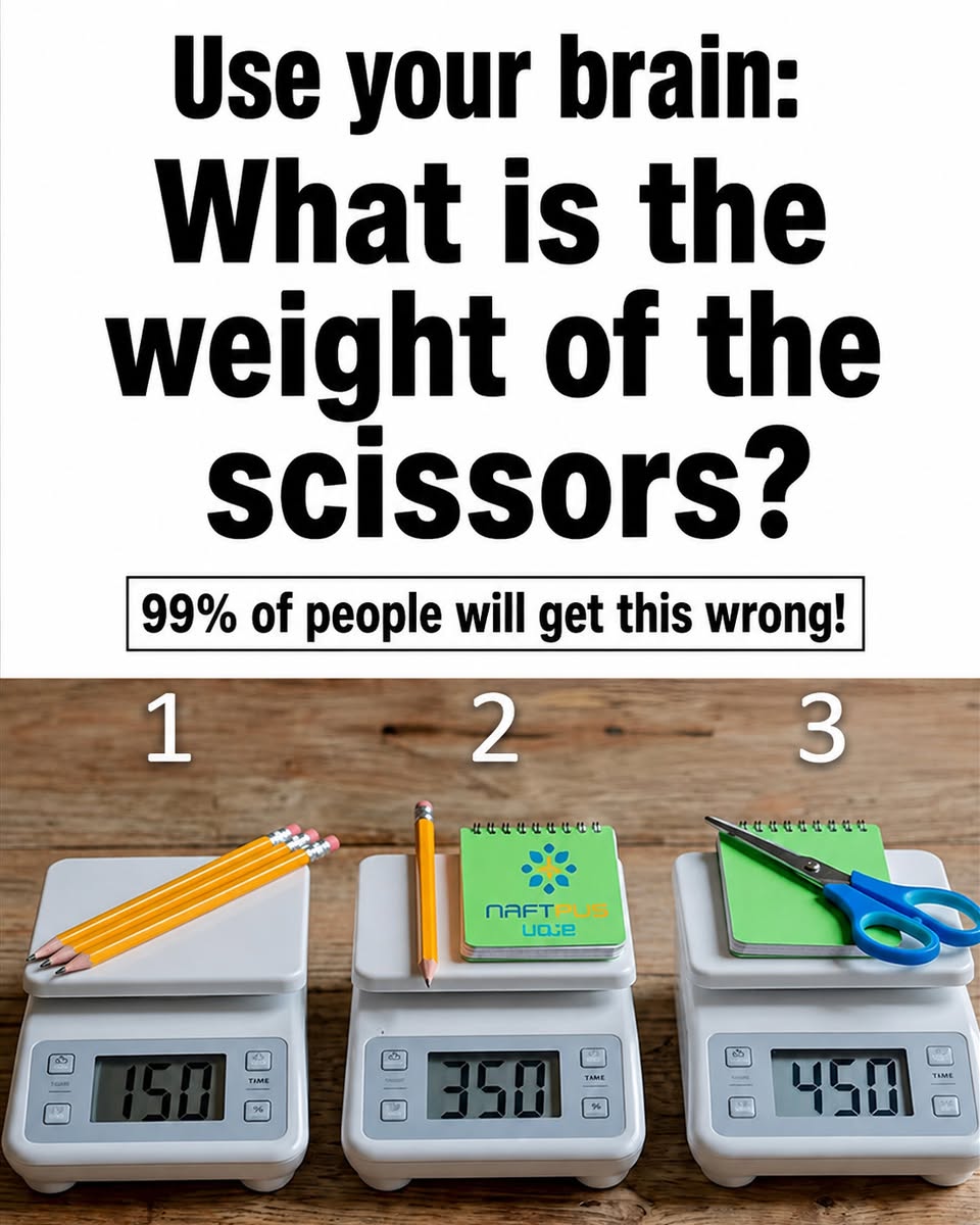 Three scales holding pencils, a notebook and scissors