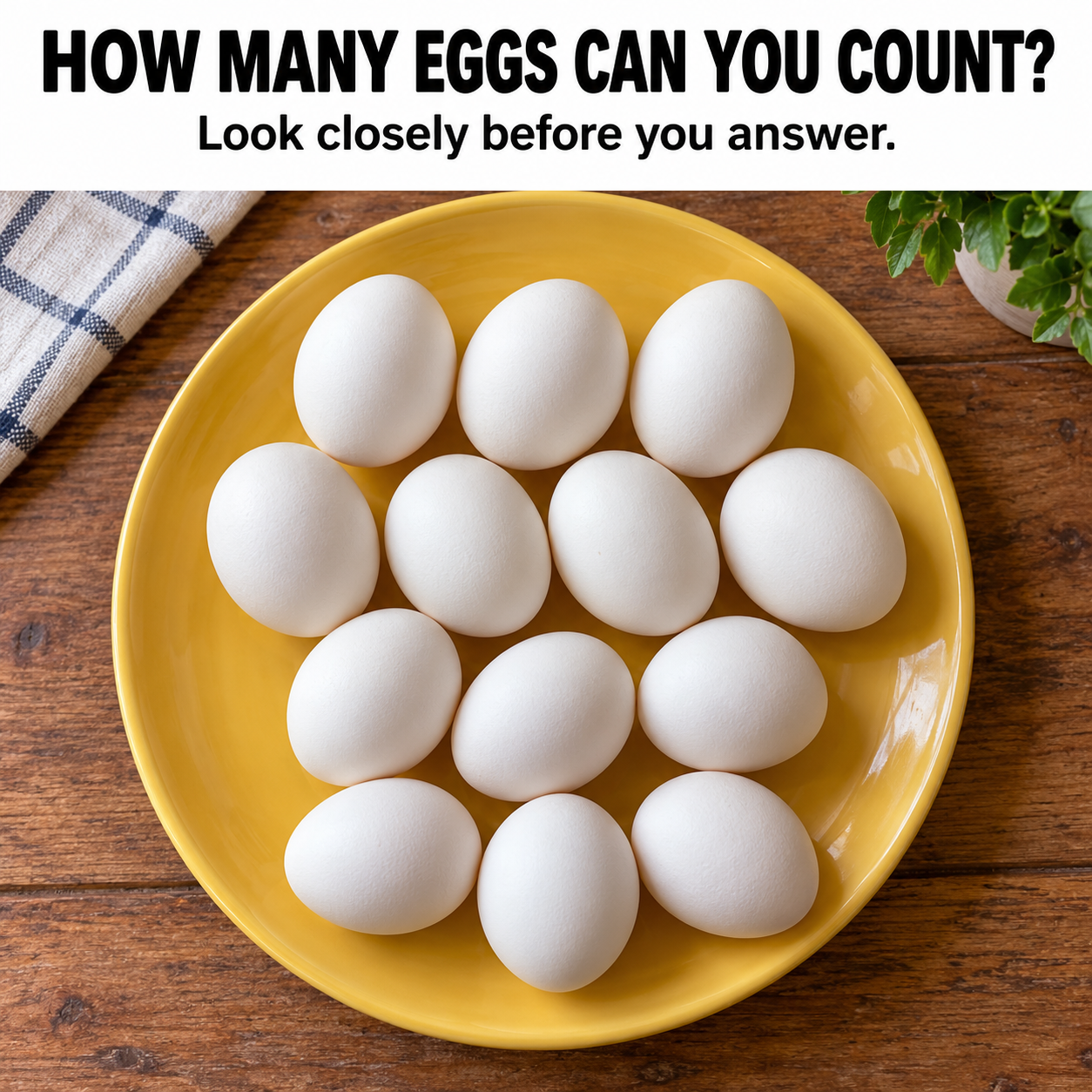 White eggs arranged on a yellow plate